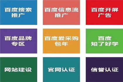 某公司SEM代理策略：实现流量转化